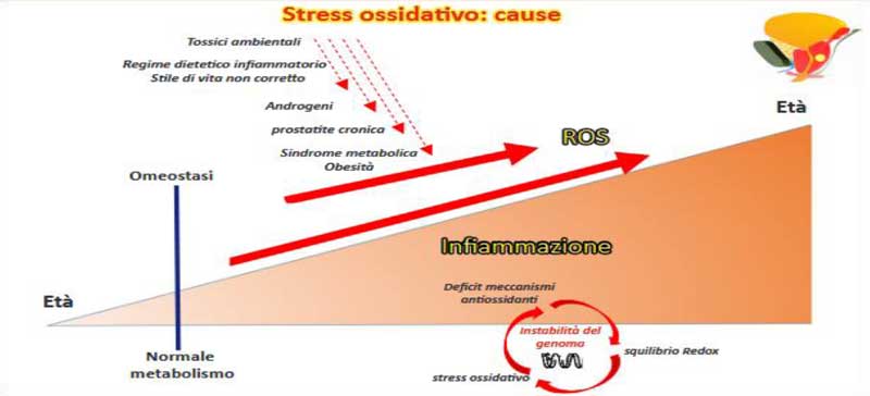stress ossidativo
