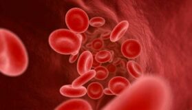 Sangue Cellule