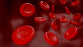 Sangue-anemia